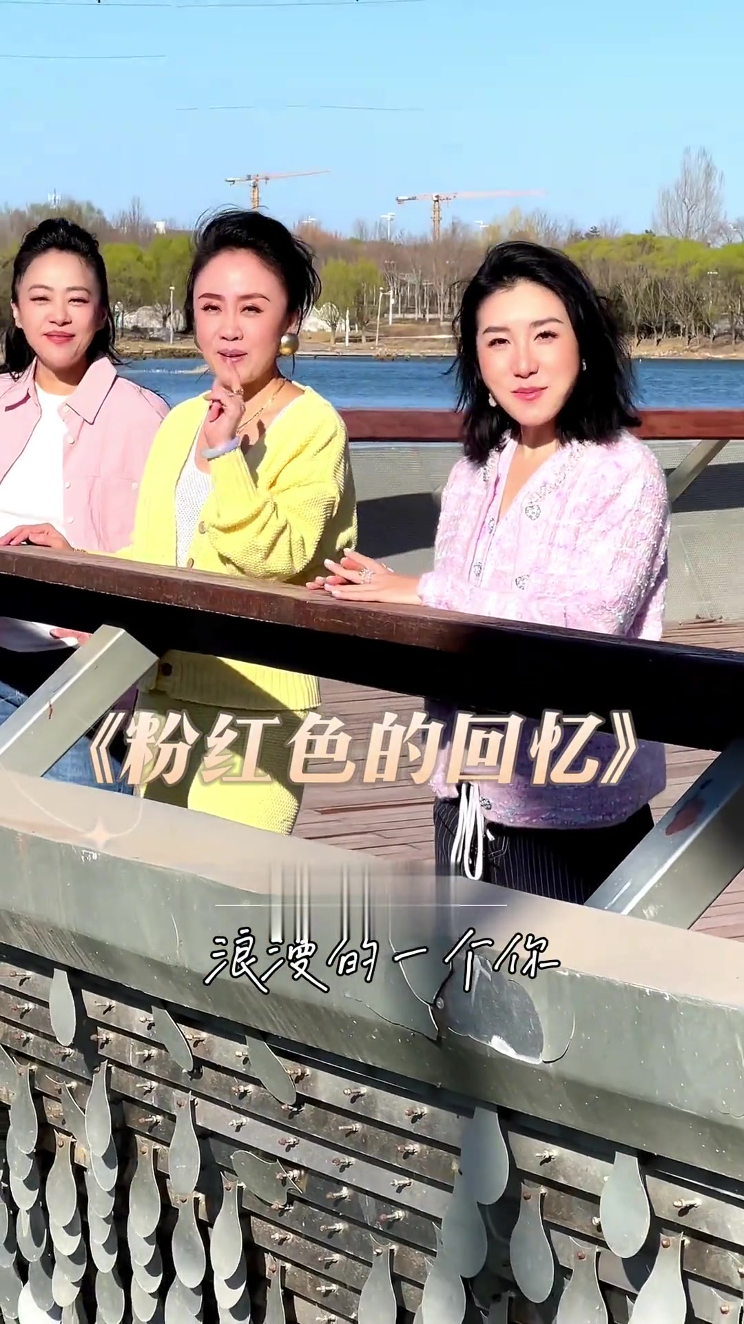 《粉红色的回忆》演唱:黑鸭子组合那些美好的瞬间,成为我们心中永恒的粉红色回忆!