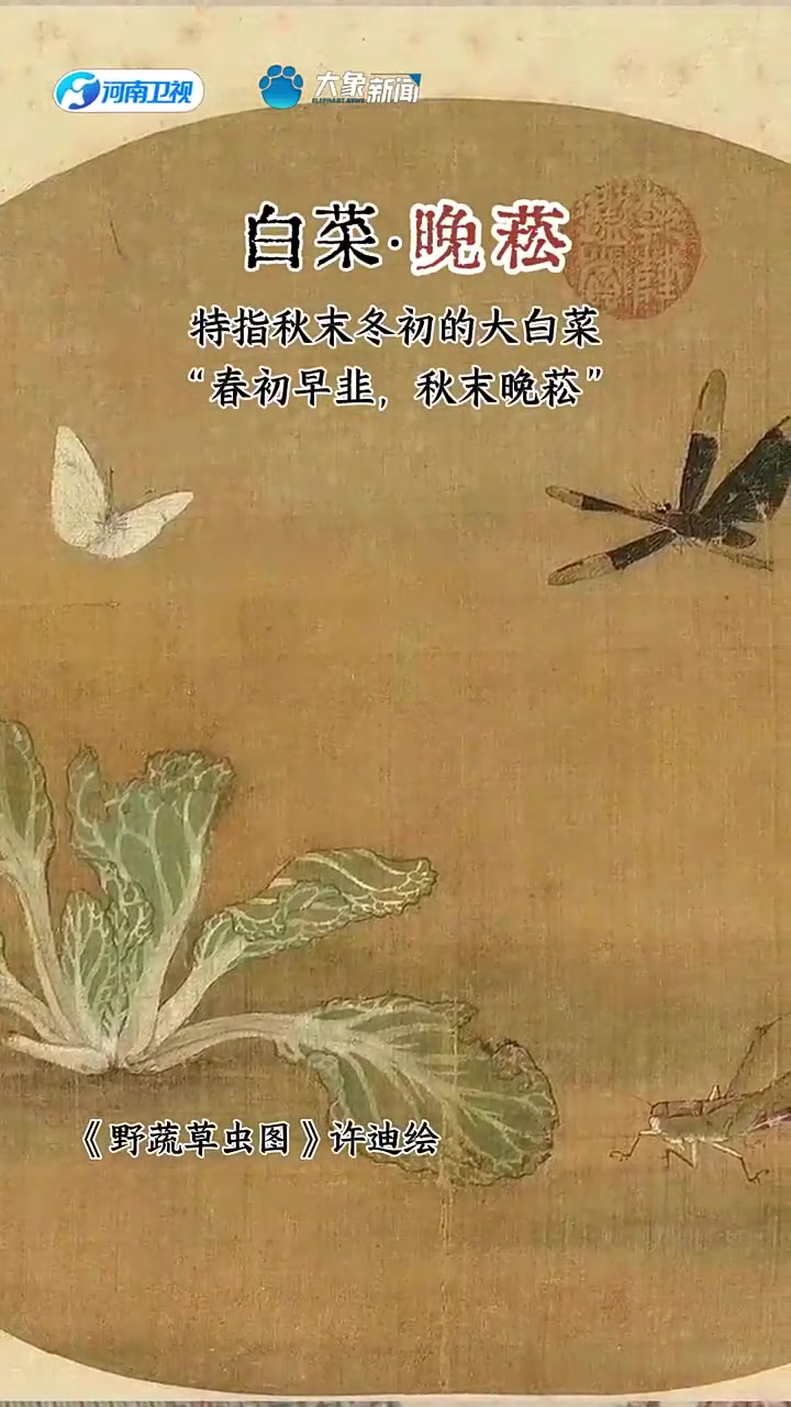 古人真会取名字 看看蔬菜雅称有多美