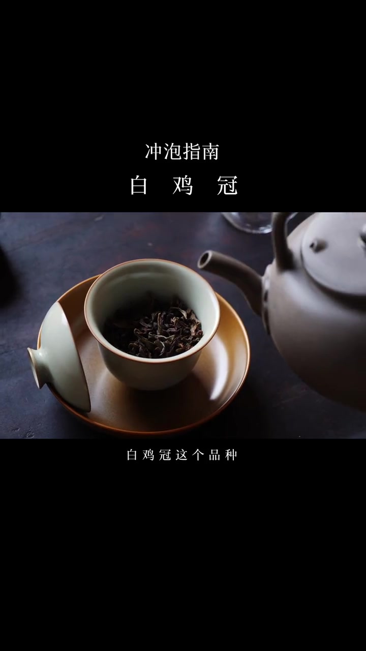 冲泡指南：武夷岩茶，白鸡冠