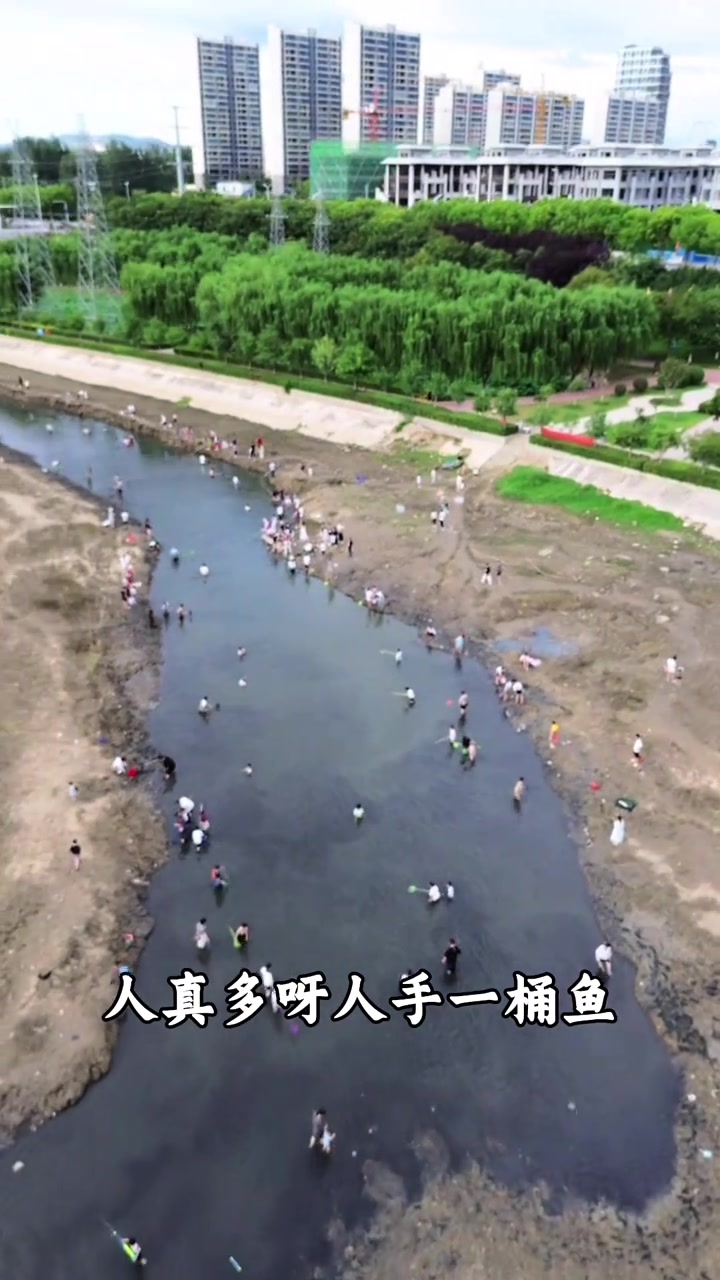 快来逮鱼呀，小时候的回忆