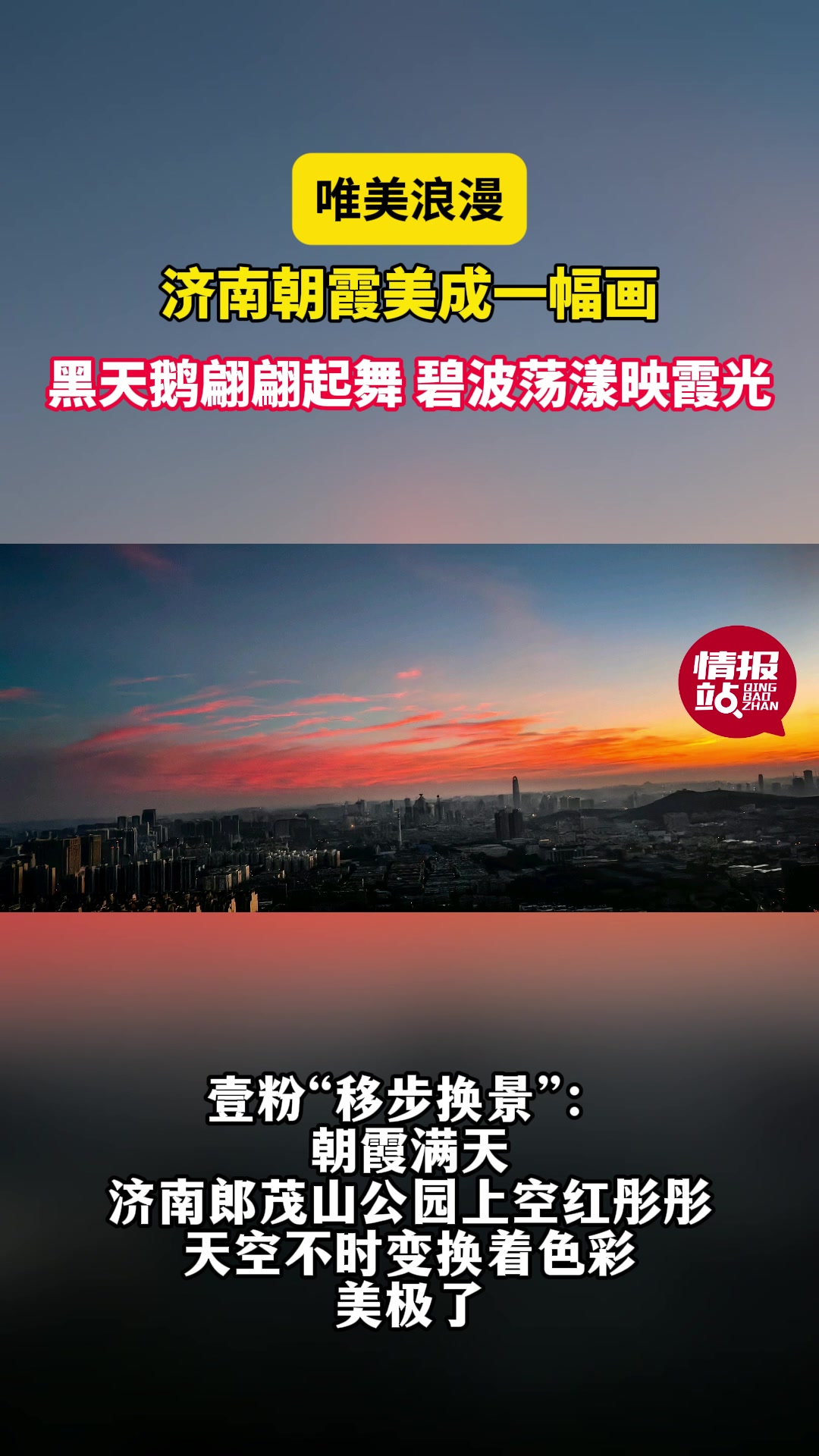 天气情报站|济南朝霞美成画卷!黑天鹅翩翩起舞,碧波荡漾映霞光