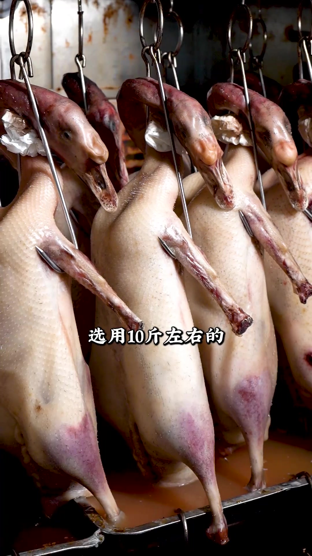 寻味顺德农家私房菜