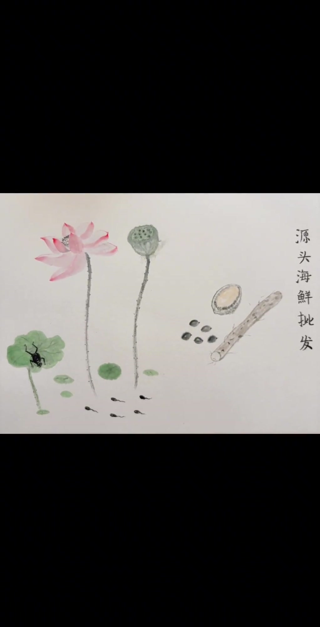 源头水产手绘鲍鱼、山药、莲子，治愈小疲惫