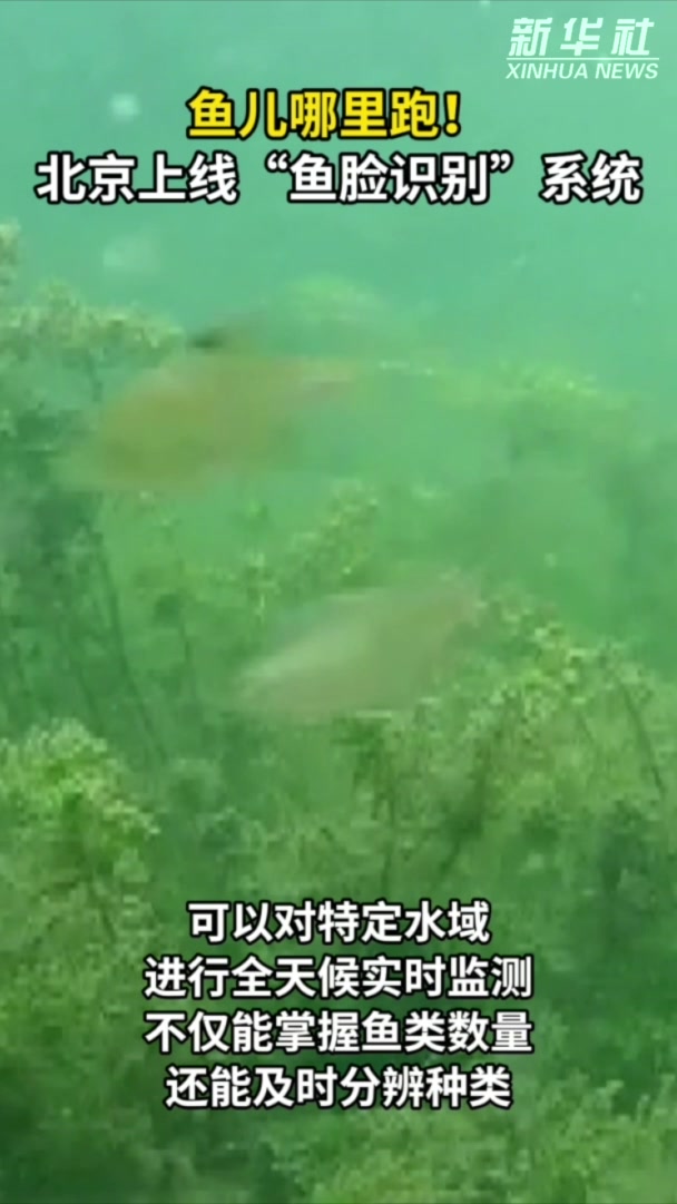 秀我中国｜北京上线“鱼脸识别”系统