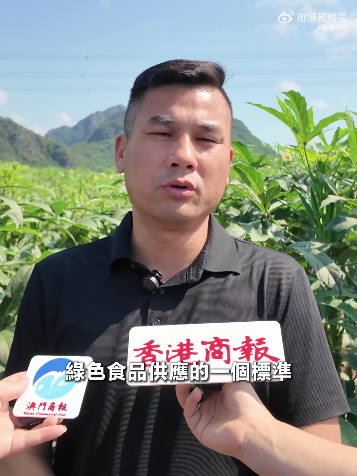 半日内“鲜”达香港餐桌!溯源贺州供港“菜篮子”基地(来源:香港商报)
