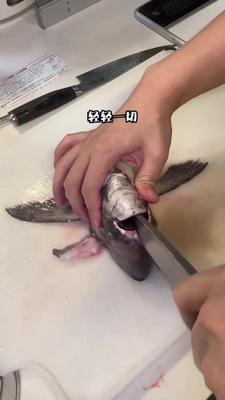 国内常见但日本天价！好吃的鲳鱼能媲美金枪鱼！