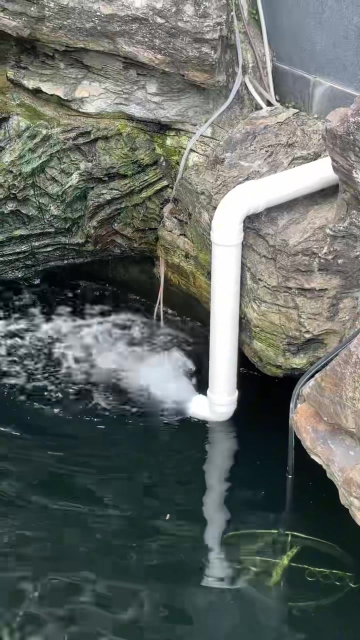 鱼池经常发浑发绿的鱼友看过来 鱼池过滤器 庭院鱼池 别墅鱼池