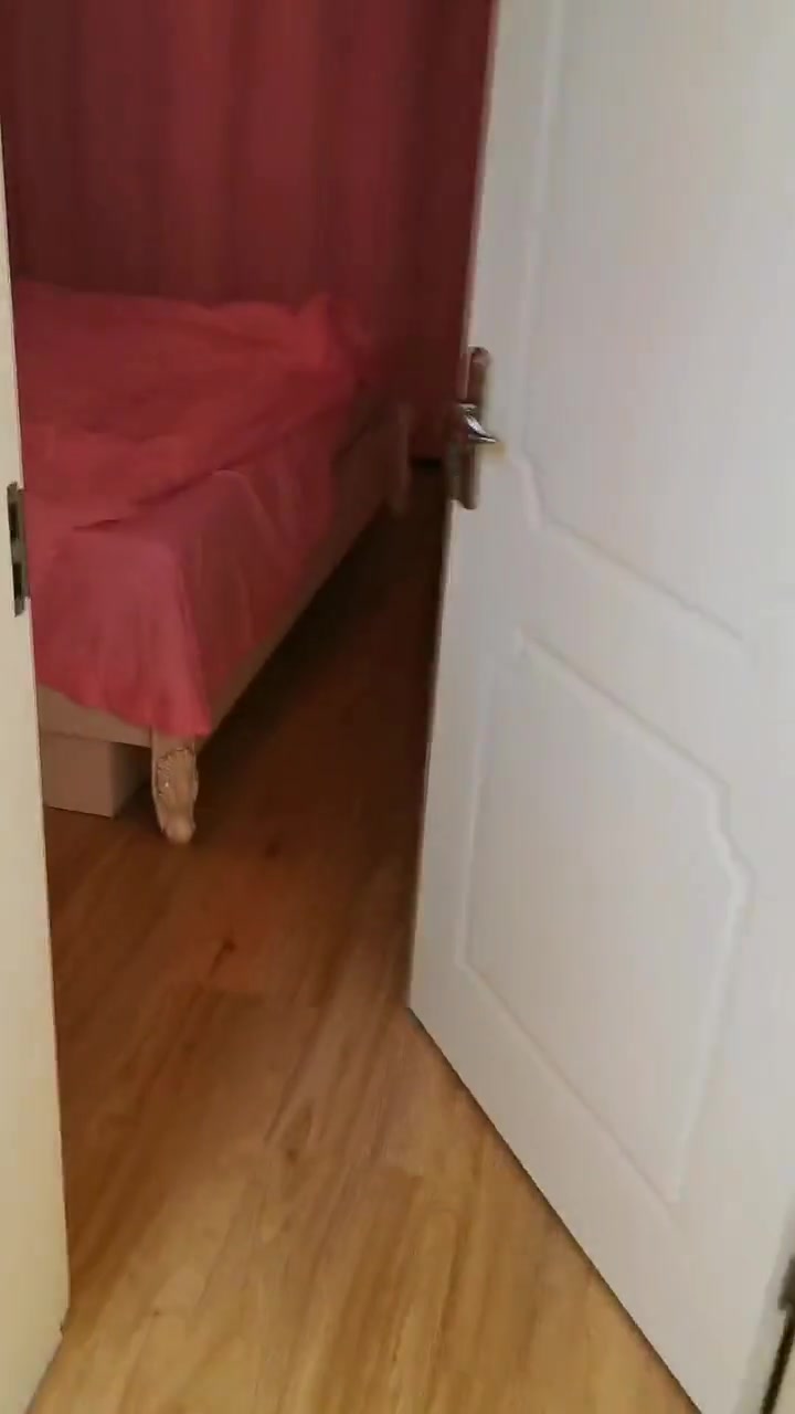 狗:啥都能丢,小鸭子不能丢!共吹空调同睡觉!