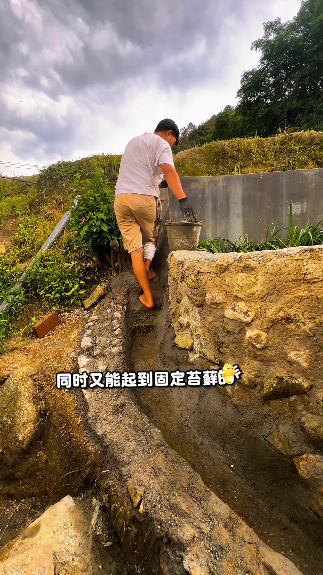 今天继续来改造升级我们的山泉水鱼池，到户外去弄了新好看的苔