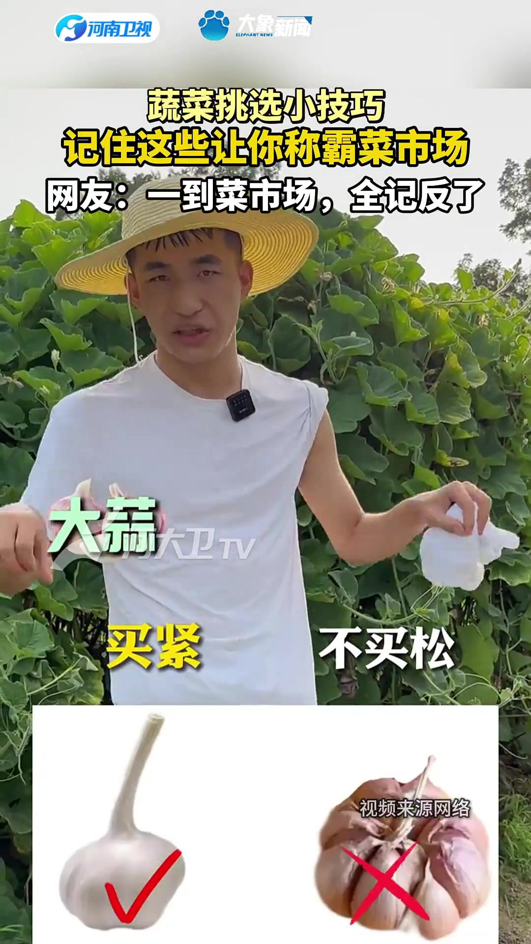 蔬菜挑选小技巧,记住这些让你称霸菜市场