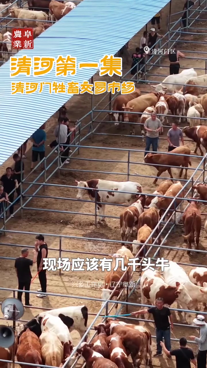 农历一、三、六、九日营业,卖家来自辽西五市以及河北省内蒙古自治区等,买家则遍布全国各地,日