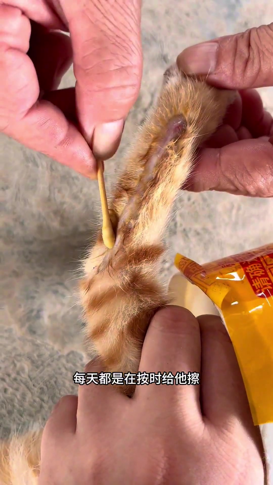 80后妈妈做的家常小炒午餐，色香味俱全