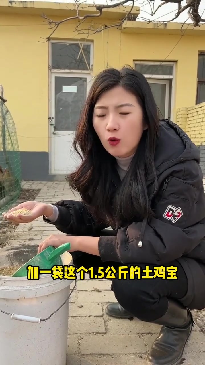 高能量地蛋白的配比会让鸡得脂肪肝吗