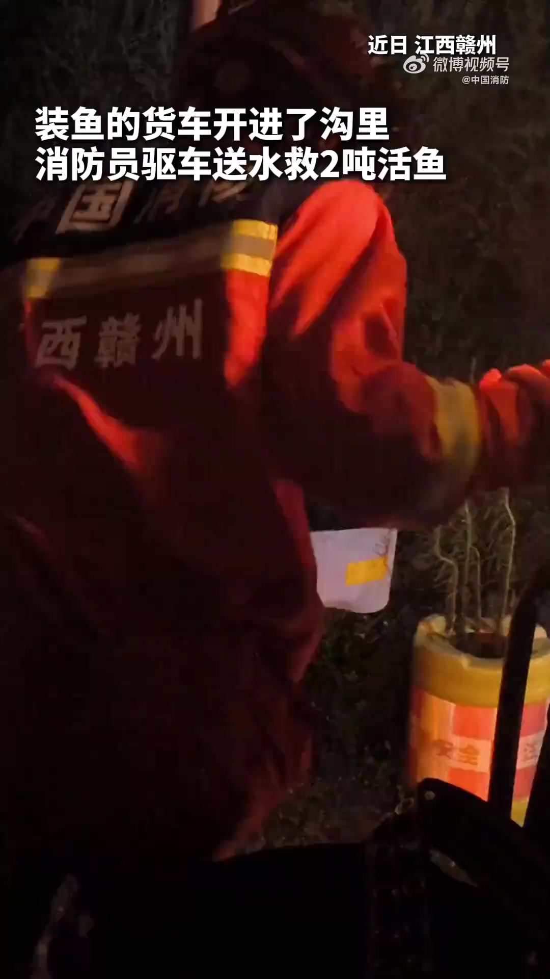 一辆拉鱼货车路过江西赣州时，“失足”开进沟里。深夜驱车送水，开展大作战救下2吨活鱼，把蹦跶