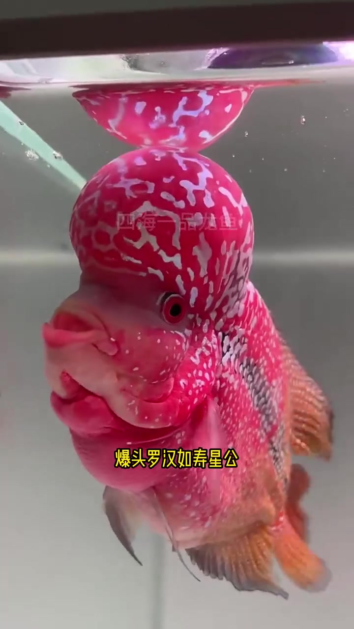 分享视频