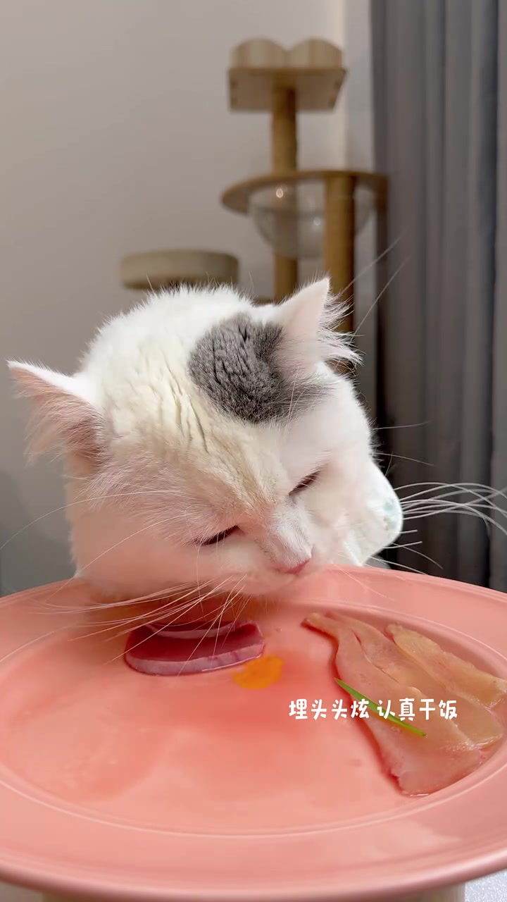 肉肉拼盘（吃的比我好系列）