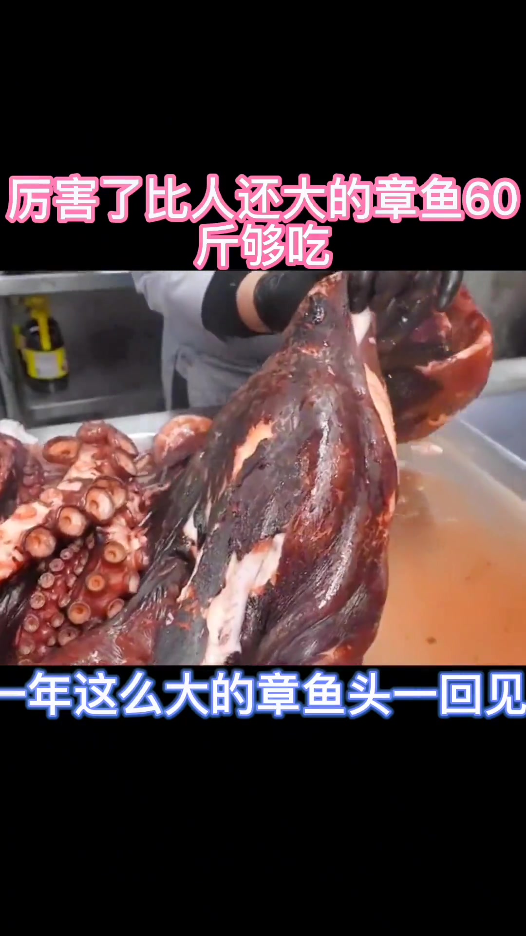 六十斤大章鱼做成寿司，这操作你见过吗？