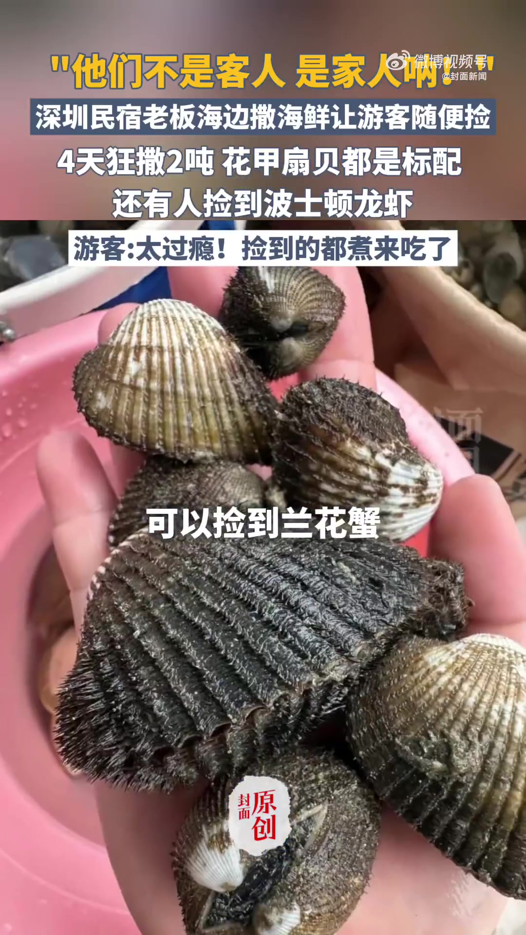 「“宠客式赶海”会污染海洋？商家回应4天撒2吨海鲜争议」近日，深圳民宿老板海边4天撒2吨海