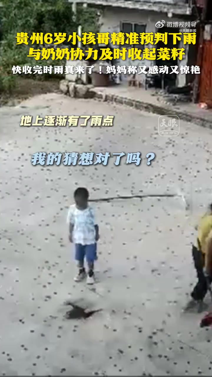 「贵州6岁小孩哥精准预判下雨」近日,贵州瓮安。6岁小孩哥精准预判下雨,与奶奶协力及时收起菜