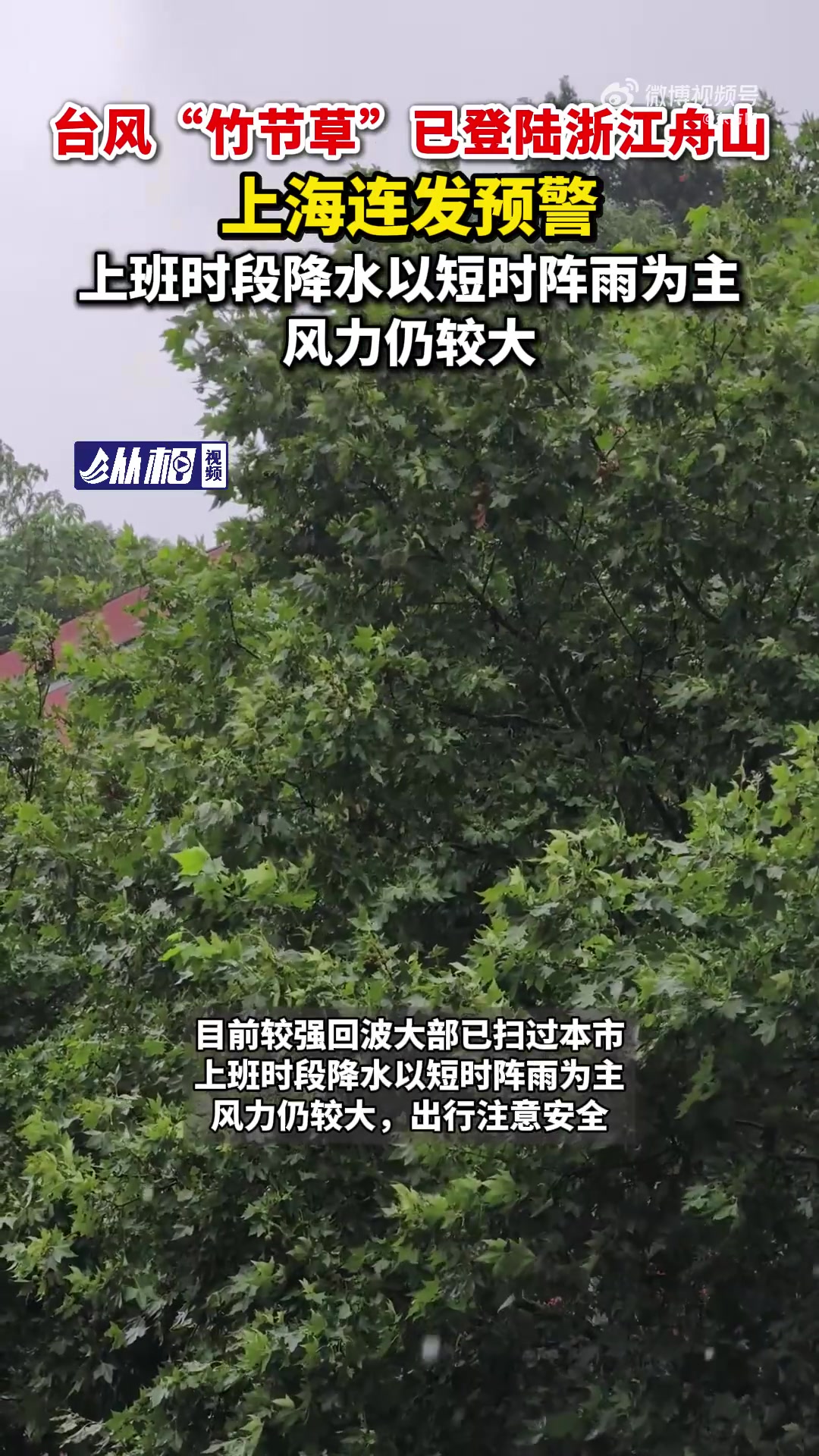 「台风竹节草 已登陆浙江舟山,上海连发预警,上班时段降水以短时阵雨为主,风力仍较大」台风竹