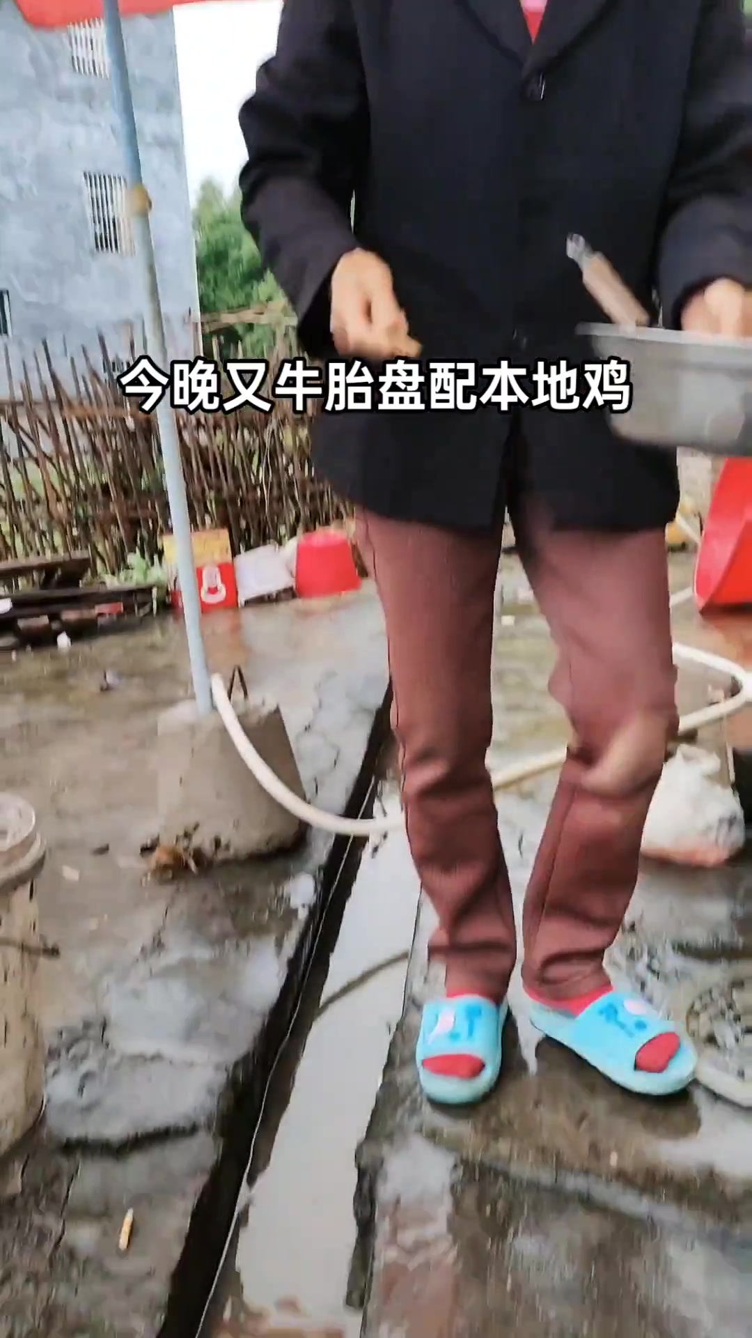 走地鸡牛胎盘，美味营养，快来抖出家乡味