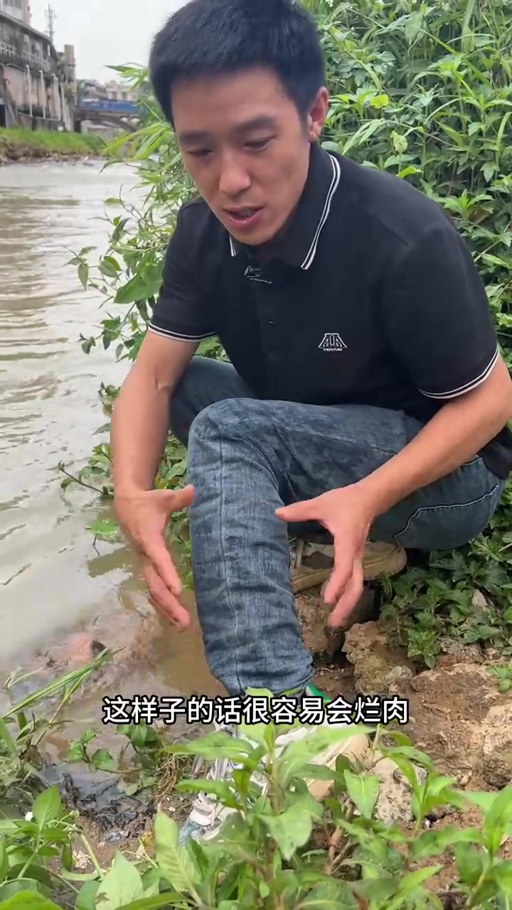 五步蛇咬伤简单自救办法！