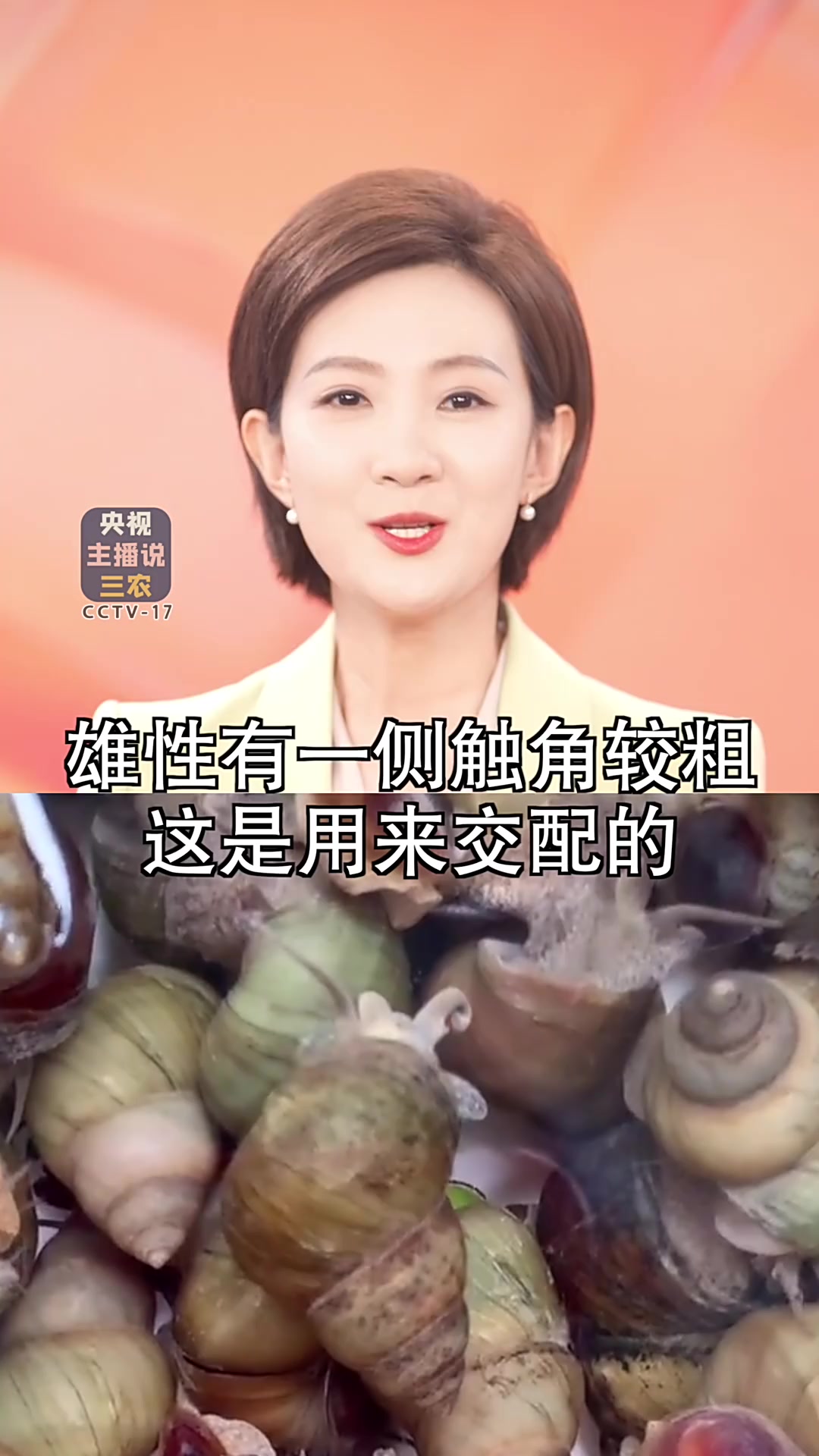 除了小龙虾，还有谁统一了夏日的宵夜江湖？