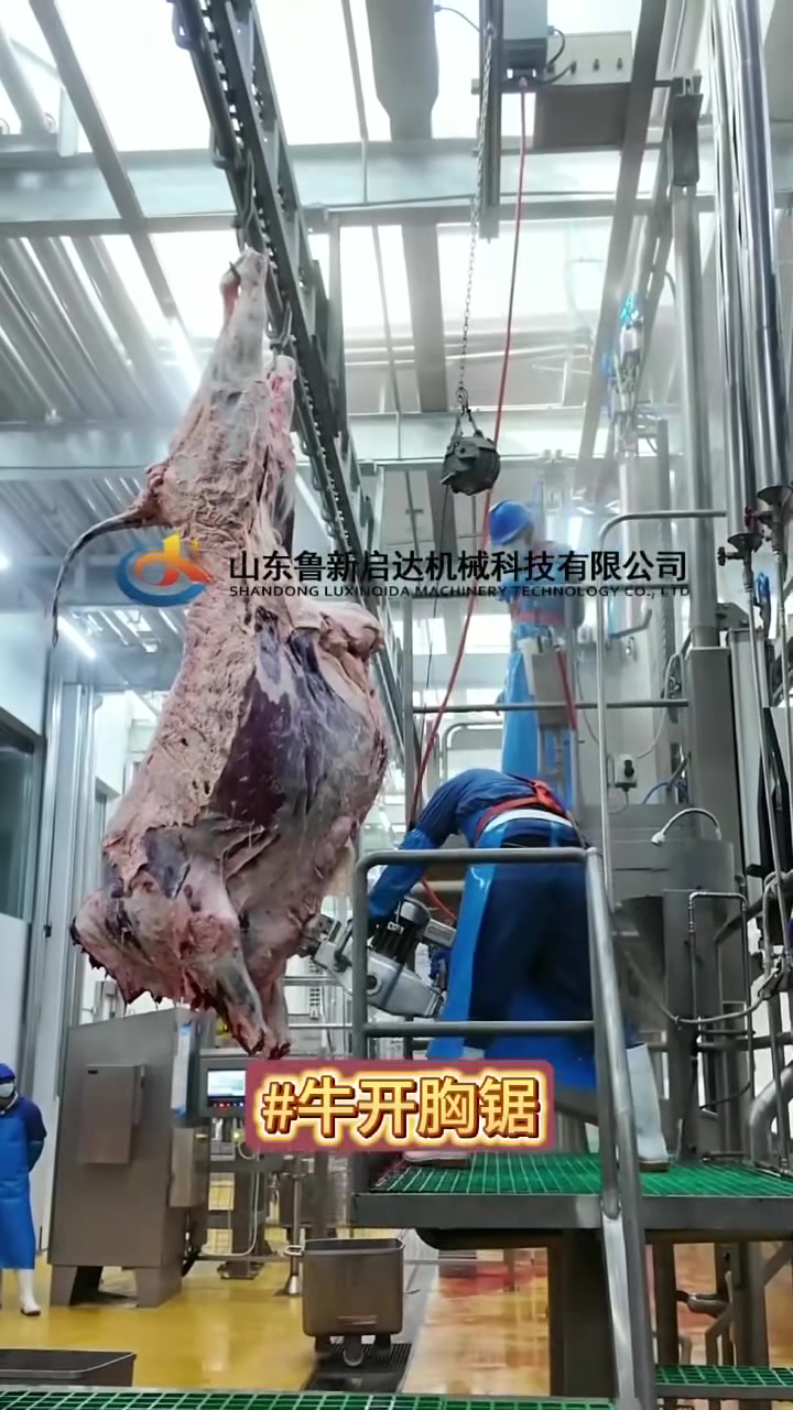 牛屠宰设备厂家,定做宰牛机器,大型牛屠宰设备,牛屠宰开胸机器,牛开胸锯厂家