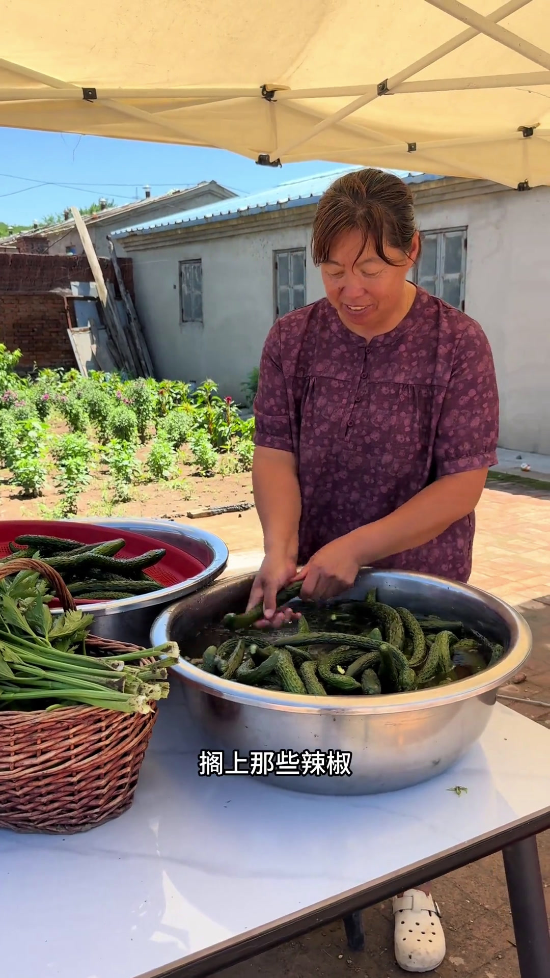 老妈今天又腌了一缸黄瓜咸菜