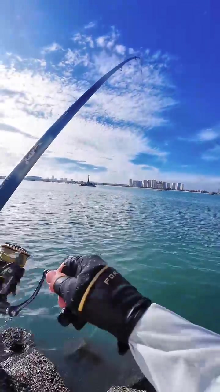 鲜嫩沙虾巧妙钓获青衣！