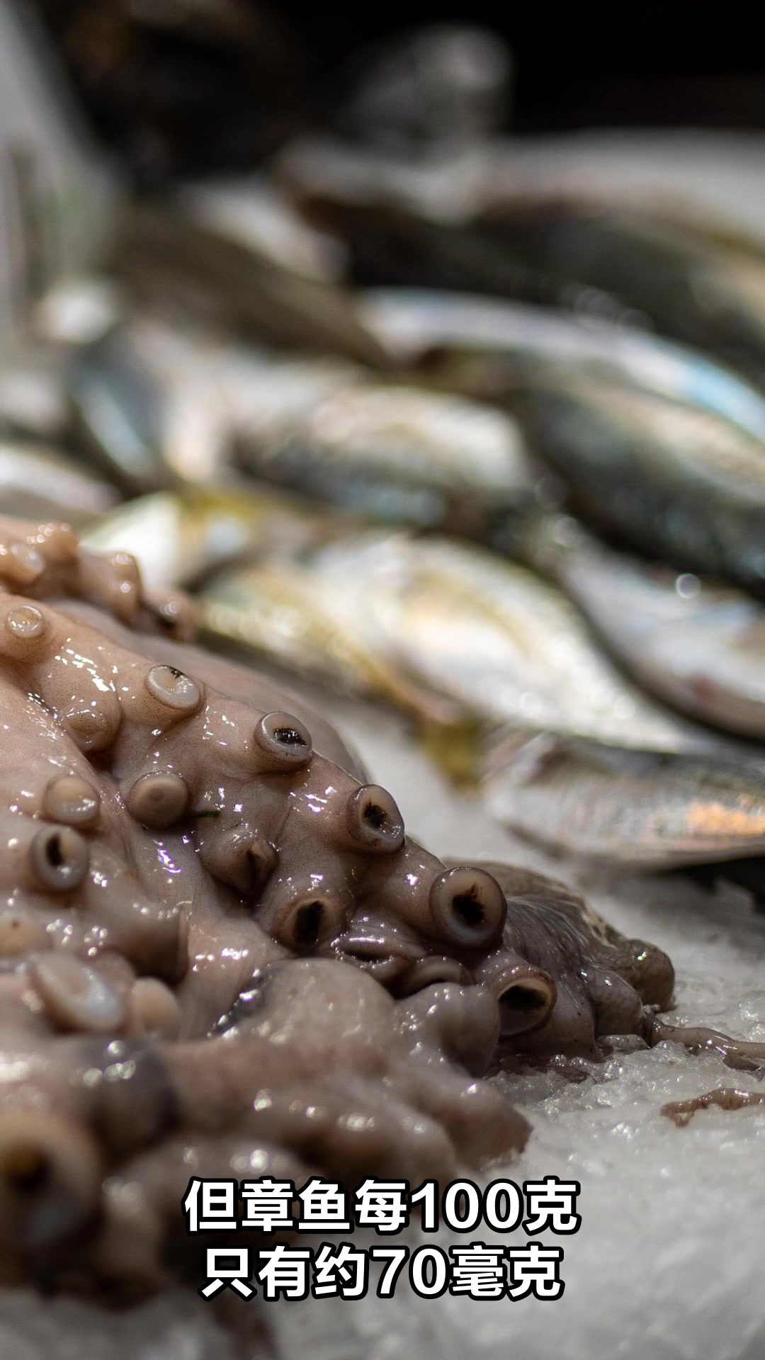 章鱼的神奇功效与作用你知道吗