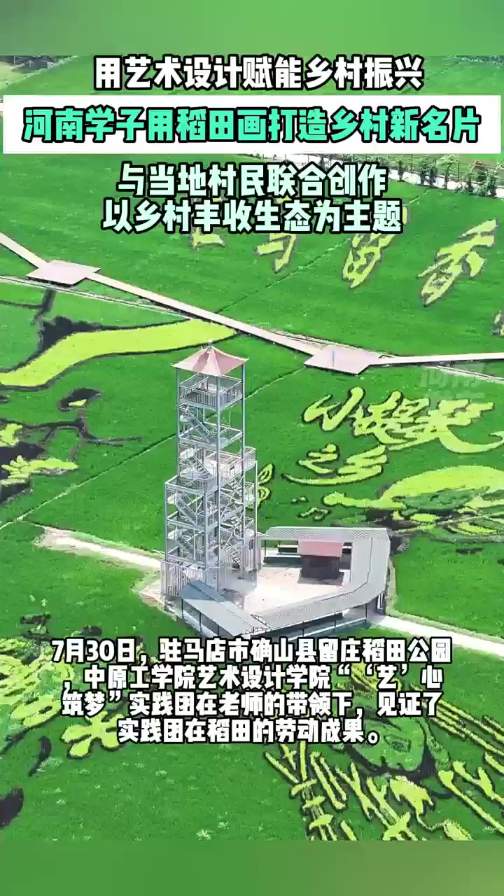 河南学子设计稻田画，打造独特的乡村文化名片