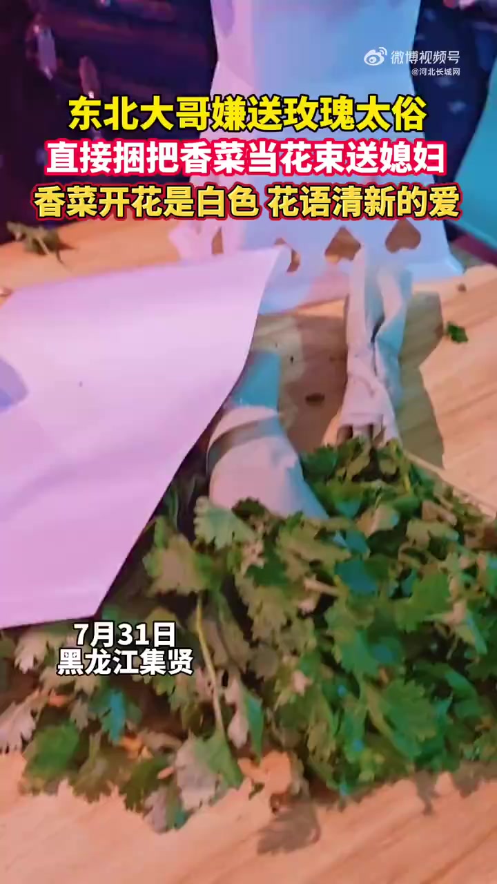 7月31日(发布),黑龙江集贤。男子嫌玫瑰太俗,直接捆把香菜当花束送给妻子,香菜花是白色,