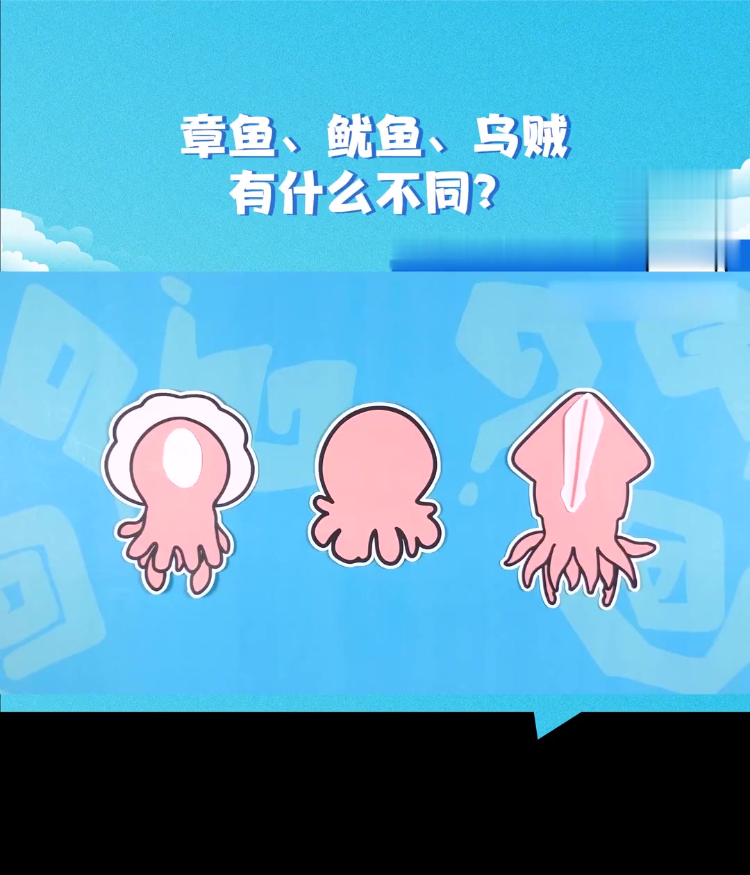 铁板鱿鱼芥末章鱼，墨鱼啥样？