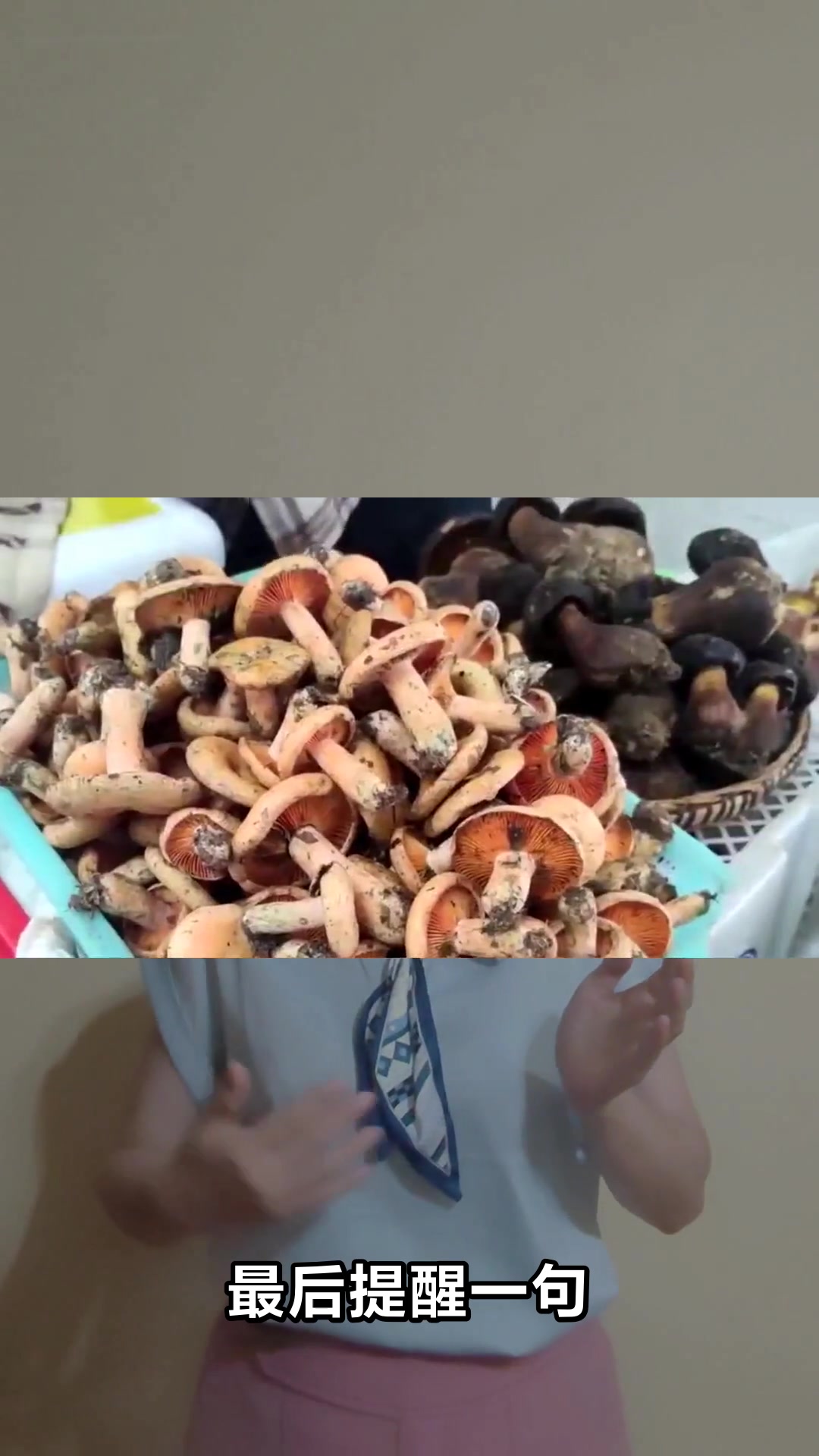 野生菌不能和哪些食物一起吃