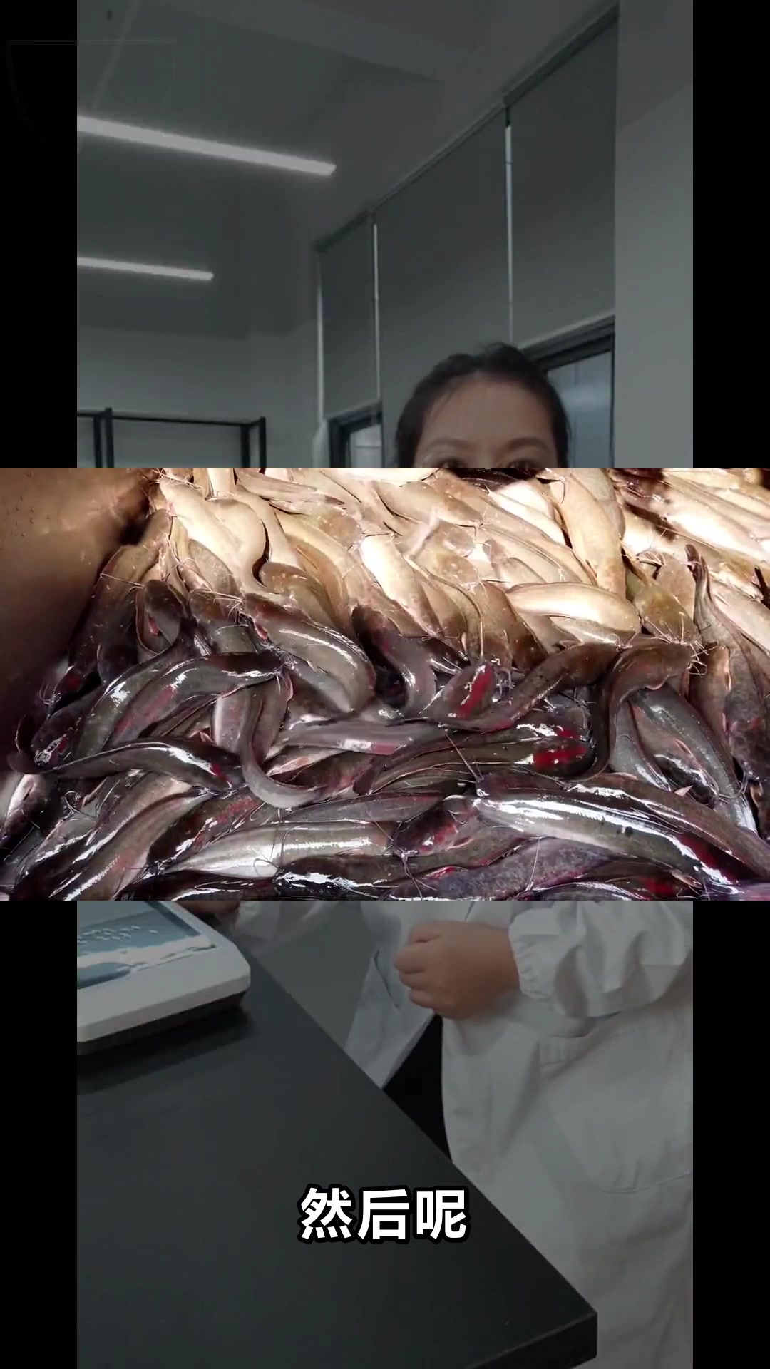 吃鲶鱼要注意这些大忌