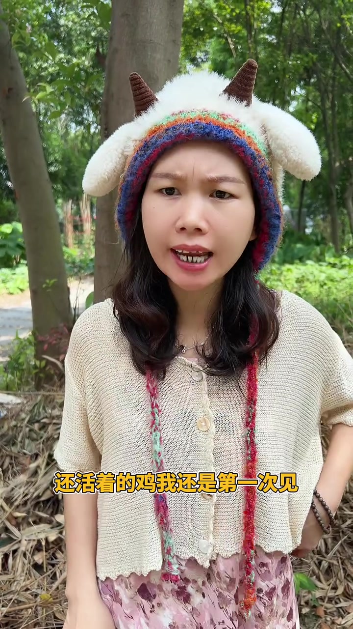 新鲜活鸡,无毛处理,即食即用