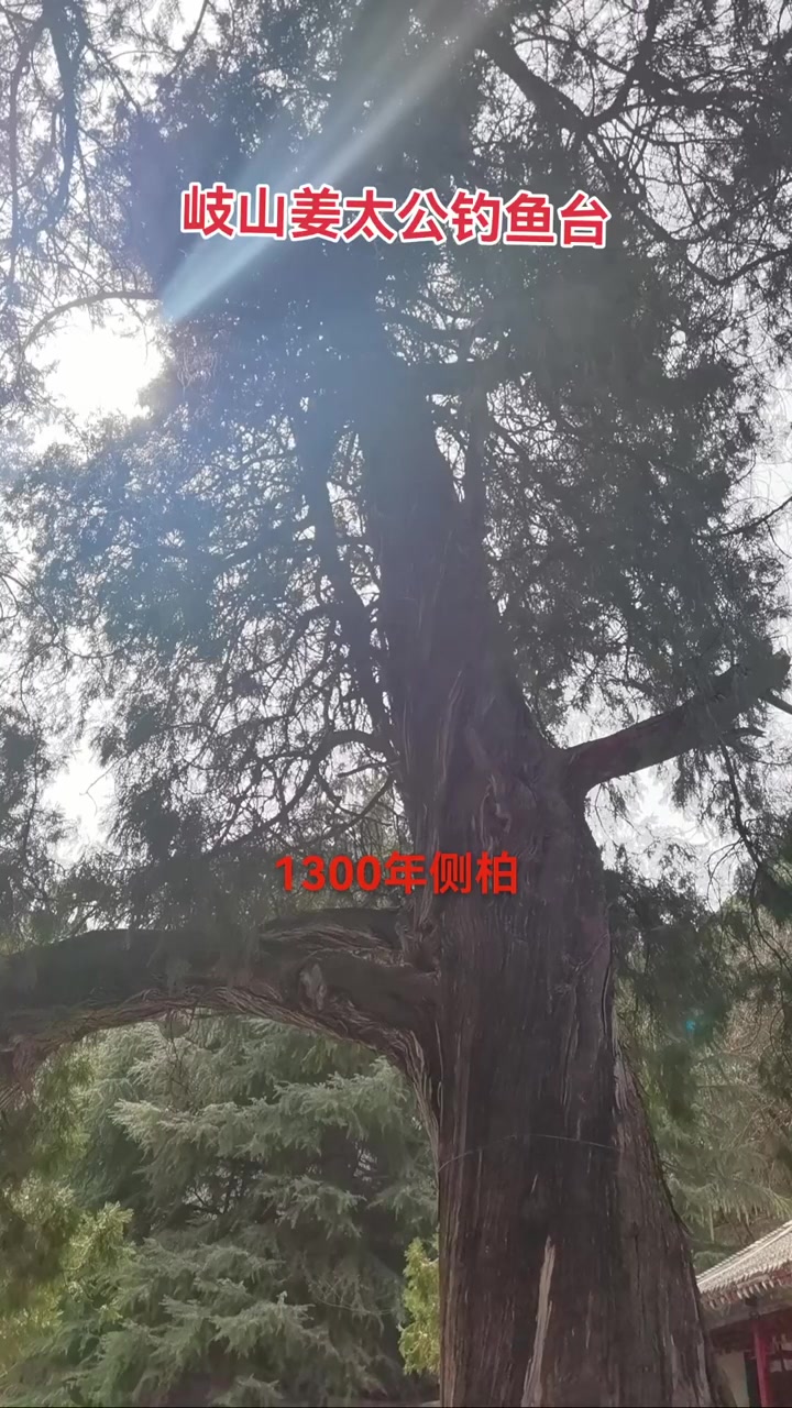 姜太公钓鱼台景区因姜子牙典故闻名,留下愿者上钩传说
