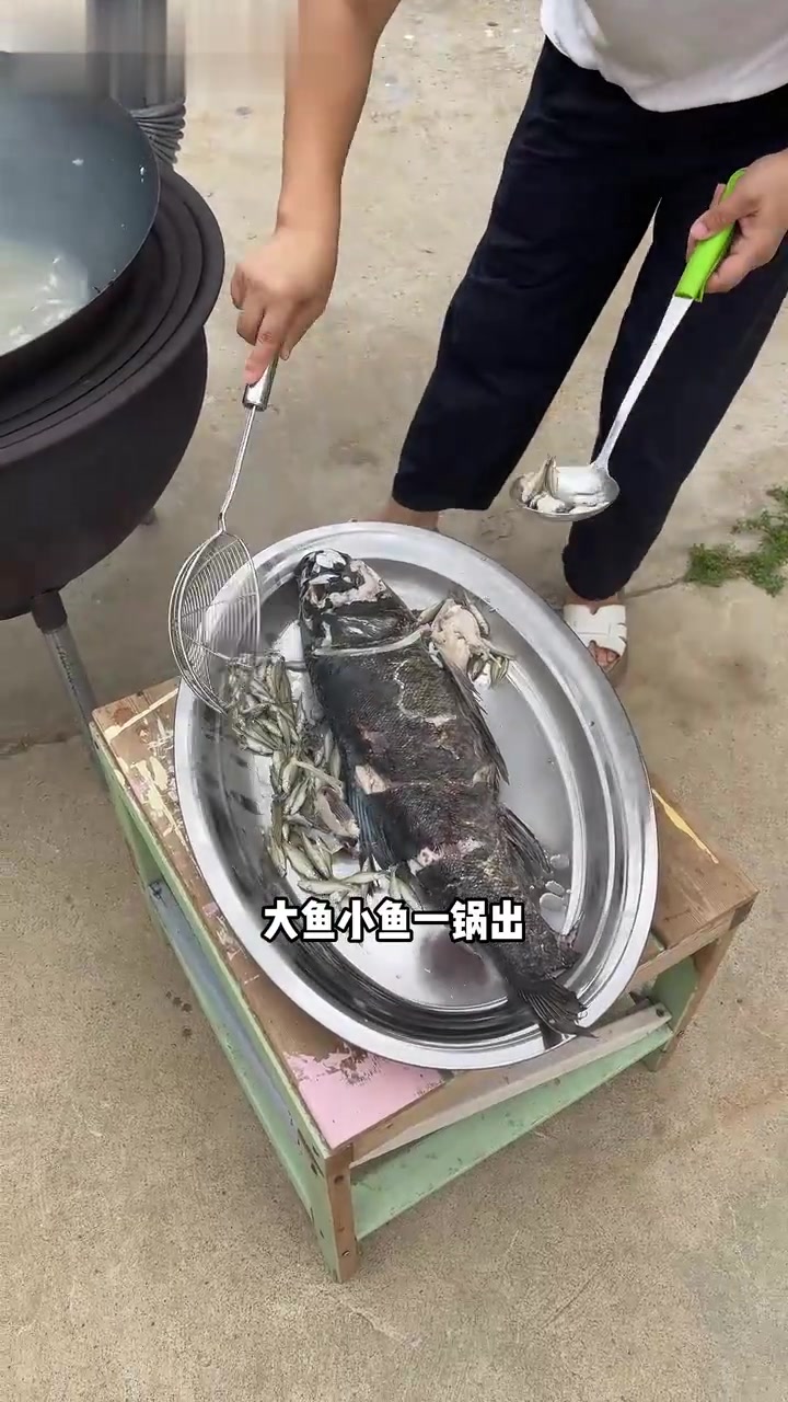 给院里的流浪猫做个大鱼小鱼一锅出