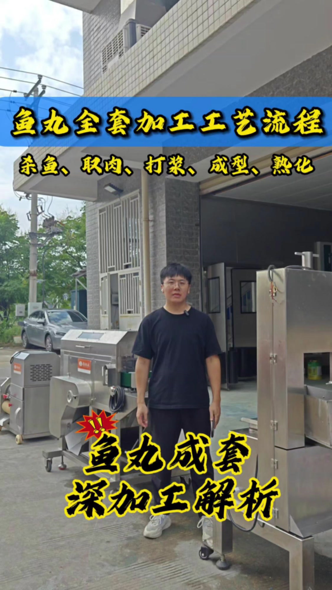 鱼丸全套加工工艺流程，杀鱼、取肉、打浆、成型、熟化