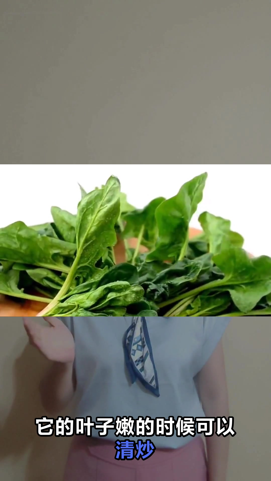 君达菜的神奇功效与作用大揭秘