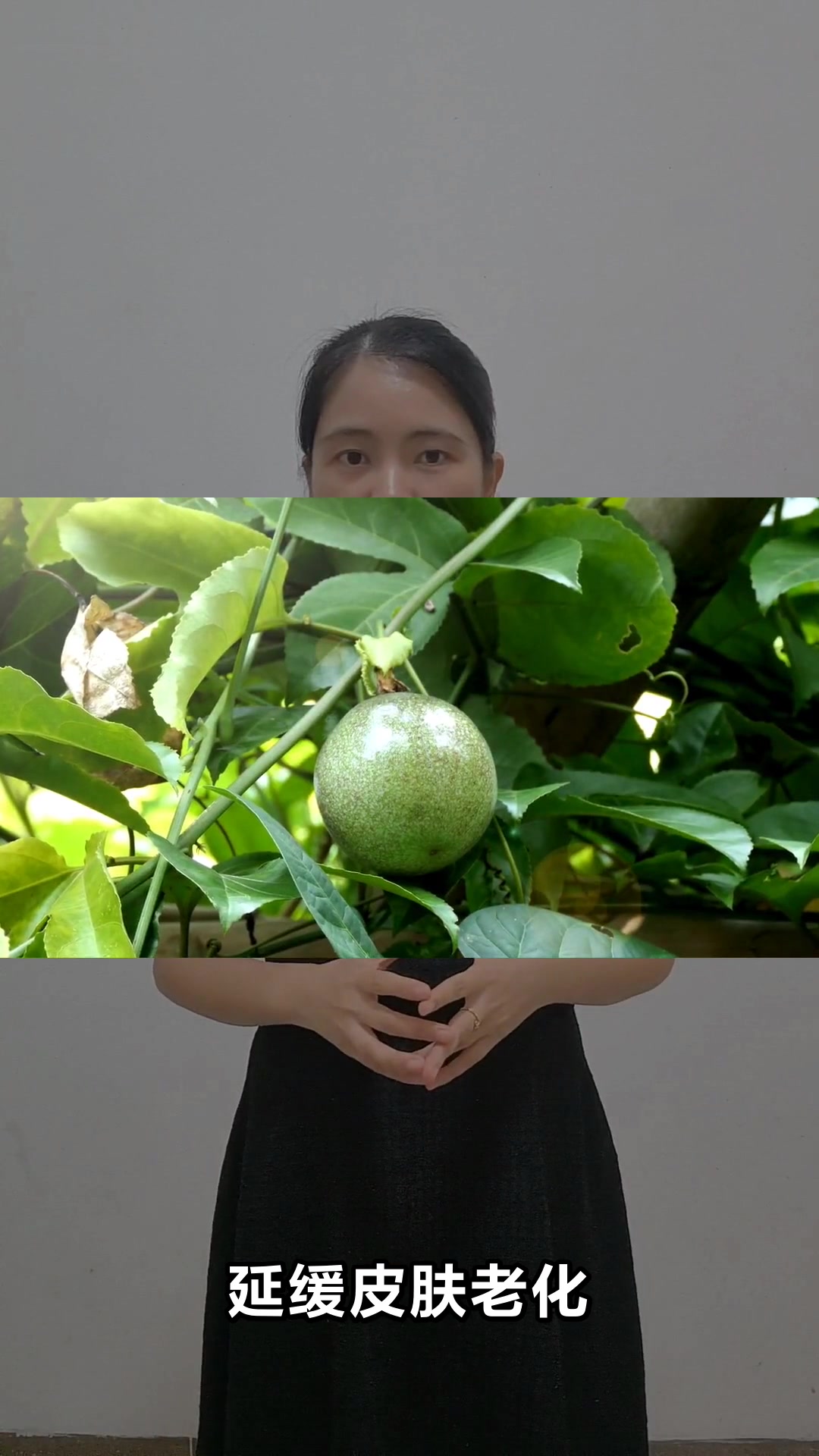 百香果的神奇功效与作用