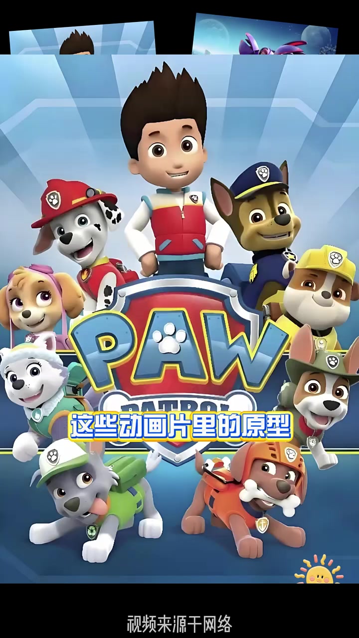 动画片动物原型,最后一个超可爱