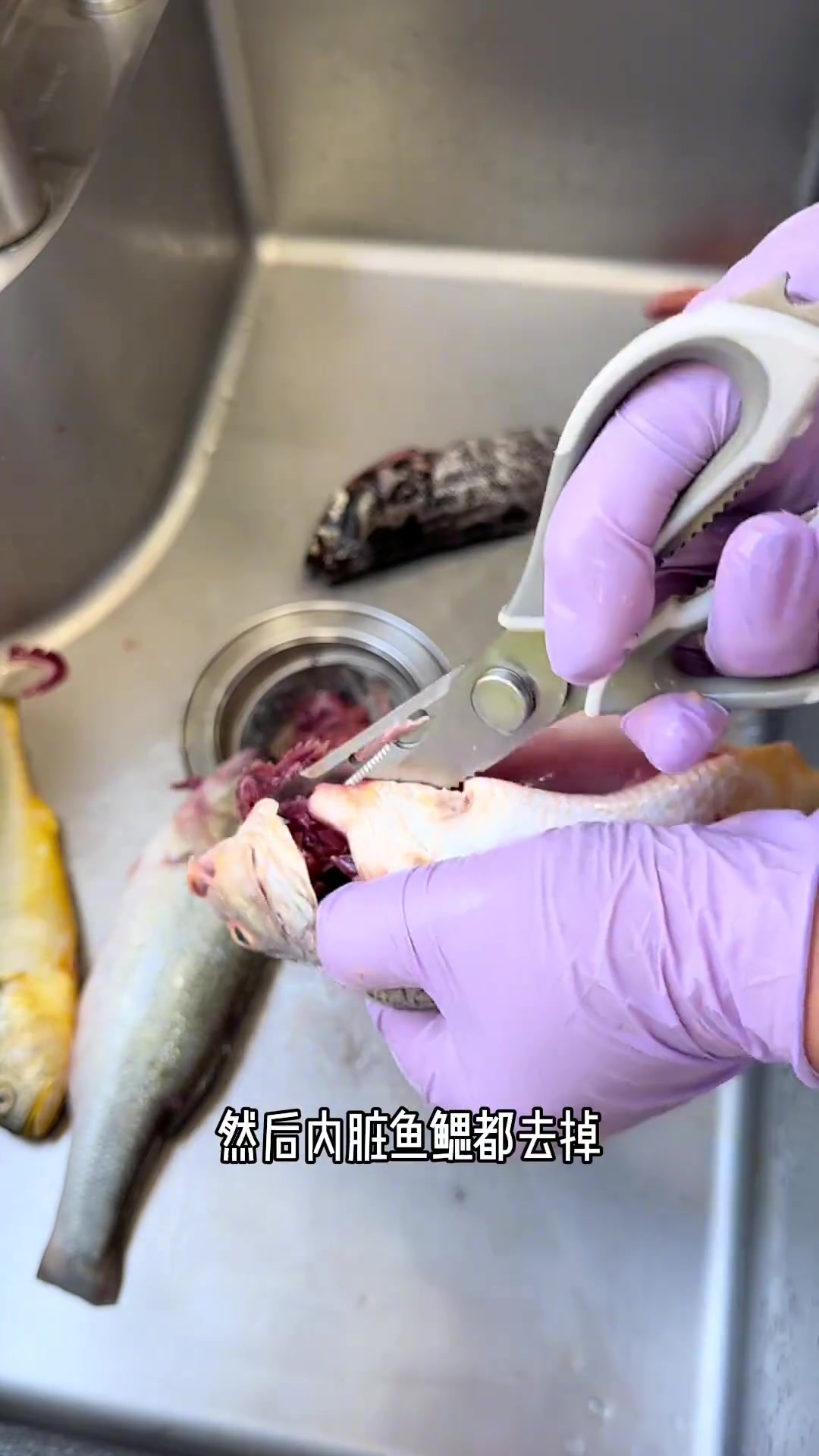 鱼杂锅贴饼子花样多，但不如那天的青鱼好吃
