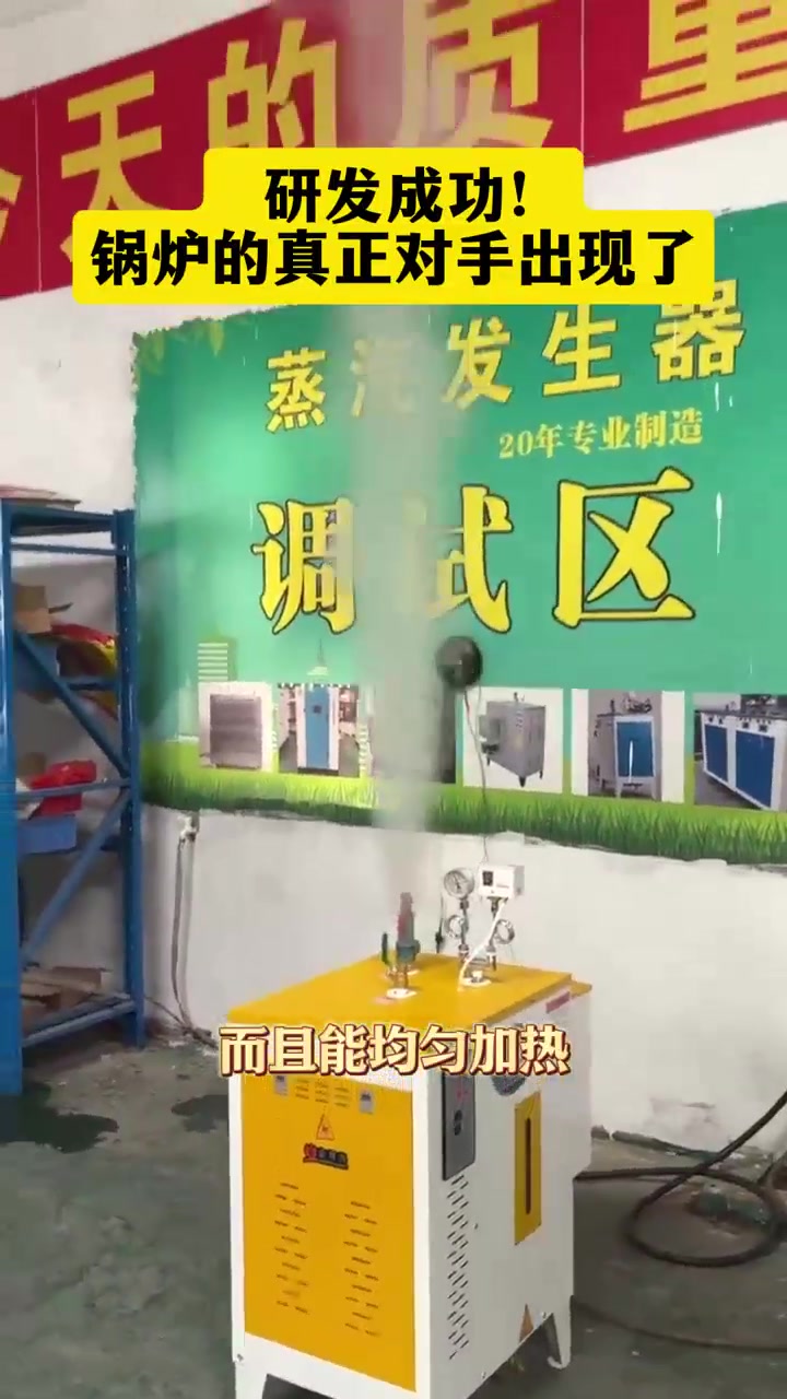 电蒸汽锅炉蒸馒头太爽太快了