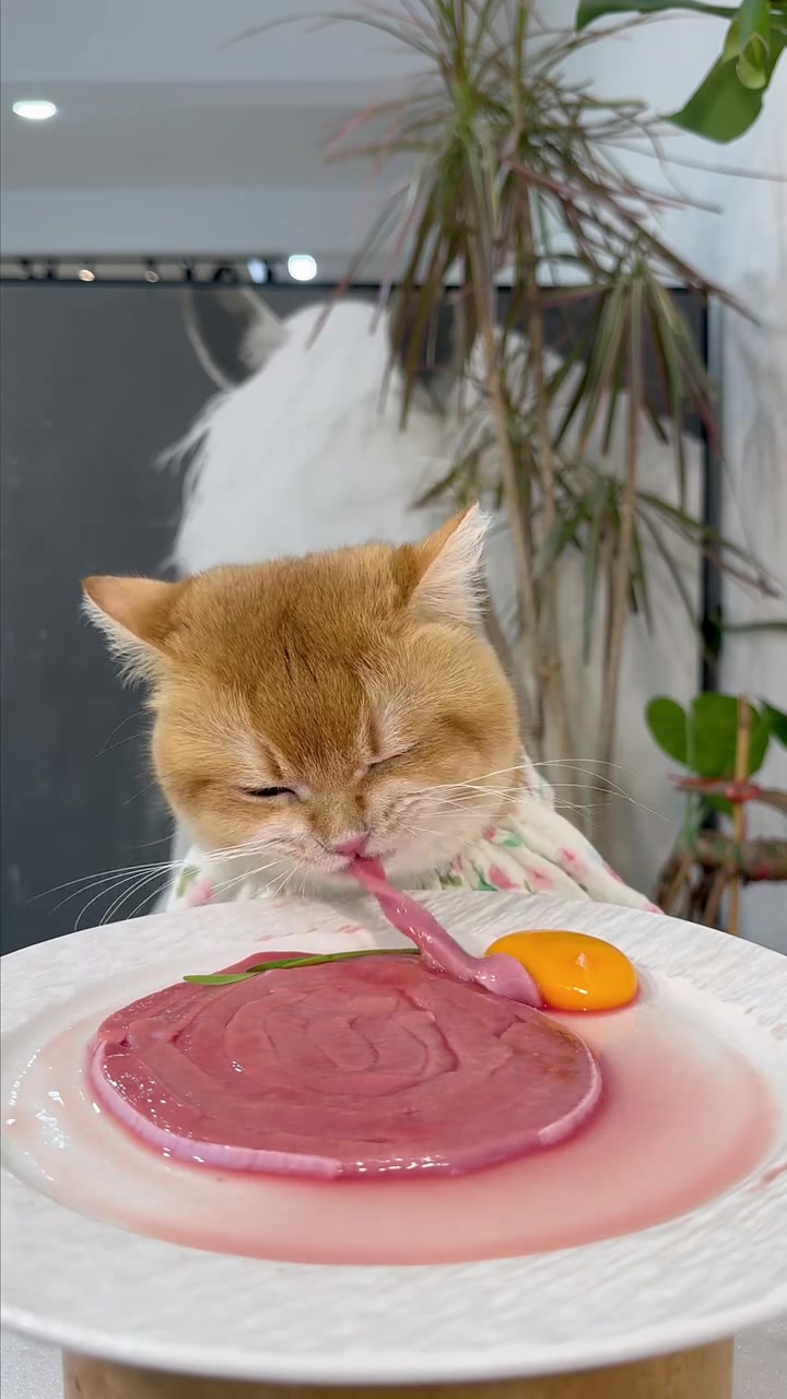 肉肉拼盘（吃的比我好系列）