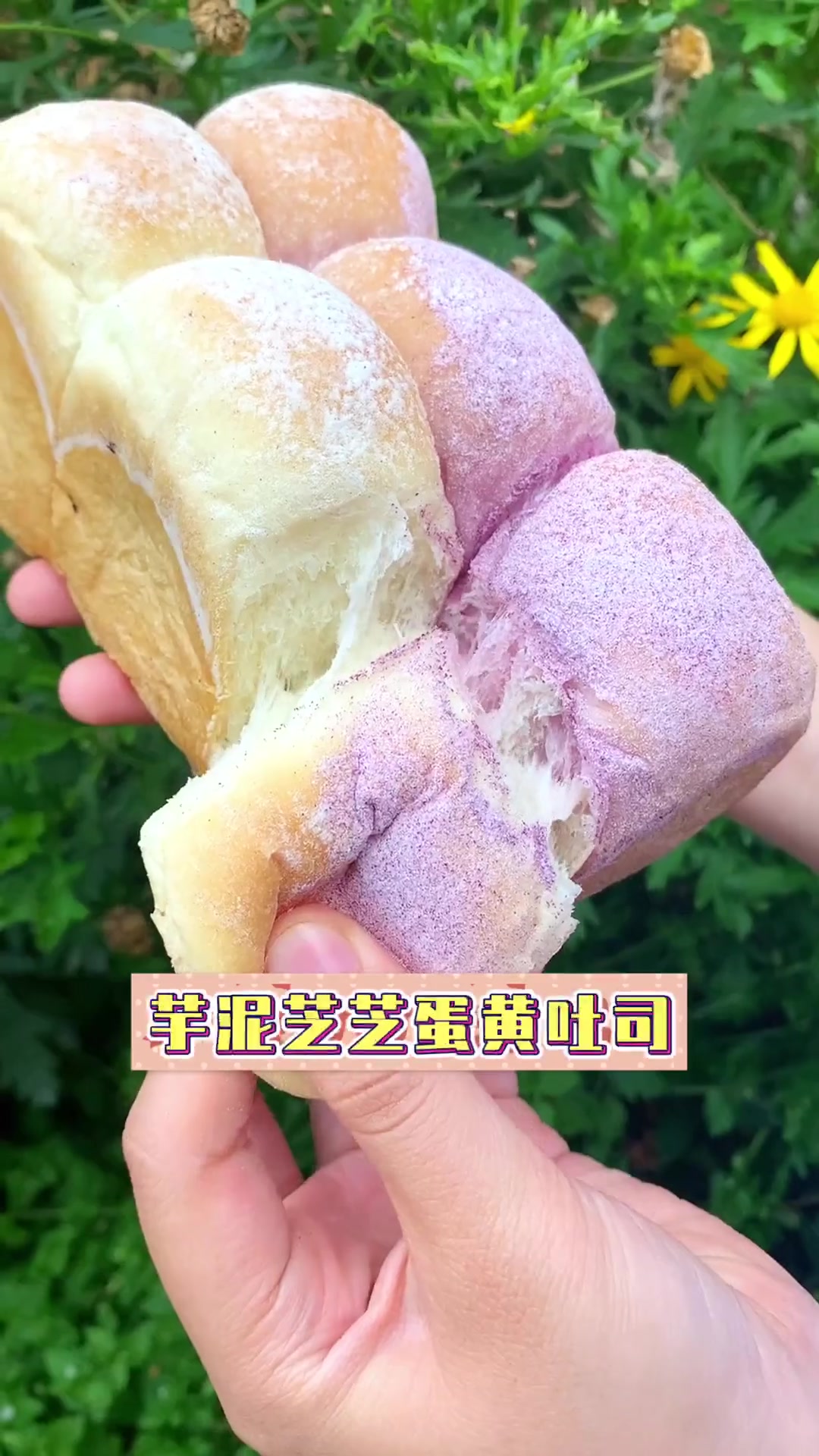 新鲜现做手工吐司，蓬松有韧劲儿，快传递甜蜜