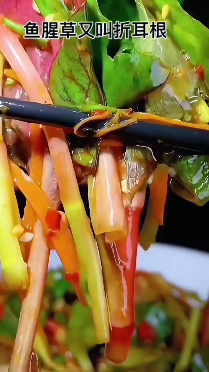 春生野菜折耳根,凉拌出来巴适得很!