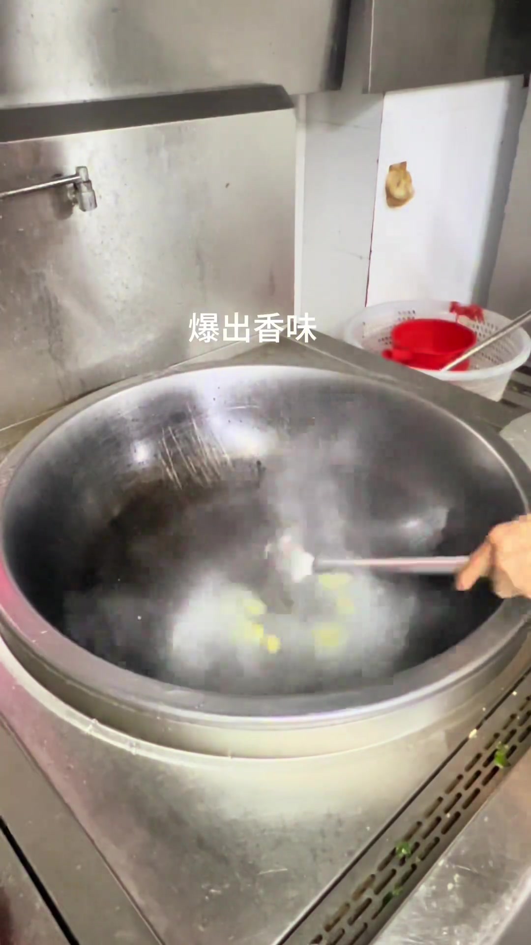 虎尾轮炖番鸭，炖鸡鸭排骨猪肚也不错