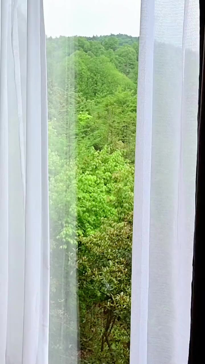 宁波自驾1H住进森林中的乌托邦酒店享春日限定下午茶